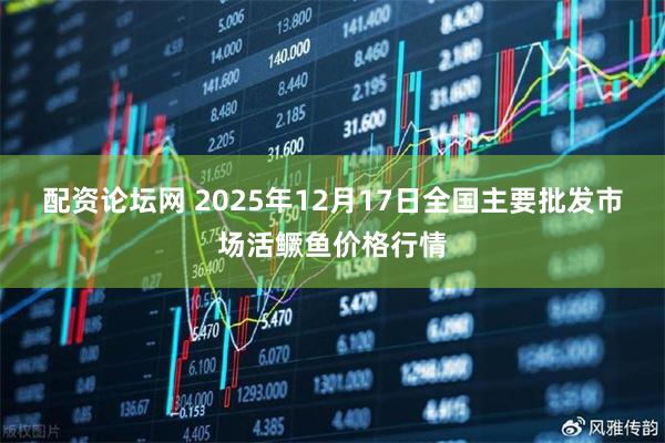 配资论坛网 2025年12月17日全国主要批发市场活鳜鱼价格行情