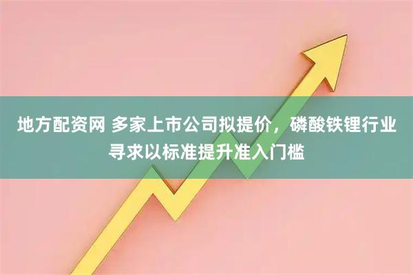 地方配资网 多家上市公司拟提价，磷酸铁锂行业寻求以标准提升准入门槛